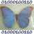 :iconamphiptere:
