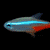 :iconamrix11: