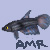 :iconamrix11: