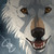 :iconamu2012: