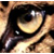 :iconamurleopard: