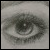:iconamy-chandler: