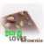 :iconamy-choco:
