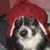 :iconamy-kay:
