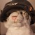 :iconamy-rose15: