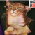 :iconamycat-3: