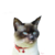 :iconamykill: