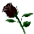 :iconamylee-jeeves: