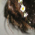 :iconamylene: