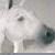 :iconamypaint: