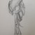 :iconamyrose13100:
