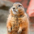 :iconamysphotography: