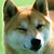 :iconamytheeevee123: