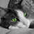 :iconamzertech: