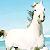 :iconan-equestrians-heart: