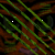 :iconan-mcnary: