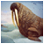 :iconan-ugly-barbarella: