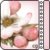 :iconana-ecir: