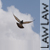 :iconana-lawlaw: