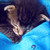 :iconana-nina: