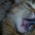 :iconana2895: