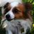 :iconanad3930: