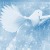 :iconanagrom: