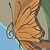 :iconanaiis-chan: