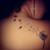 :iconanalia321: