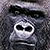 :iconanalogical: