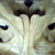 :iconanalogue-blood: