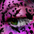 :iconanalye: