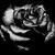 :iconanamercedes81:
