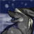 :iconanamiwolf: