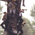 AnaMM :iconanamm: