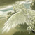 :iconanamnesis13: