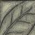 :iconanamyfreak: