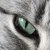 :iconananiakitty: