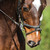 :iconananphotos: