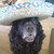 :iconananrara: