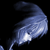 :iconanarchy-hocp: