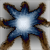 :iconanarchy9: