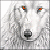 :iconanarwolf: