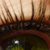 :iconanasheedy: