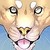 :iconanastasiabecorah: