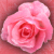 :iconanastasiaramanna: