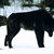 :iconanastasiathebrony: