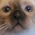 Anastasiya-K :iconanastasiya-k: