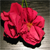 :iconanasy: