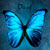 :iconanatkd: